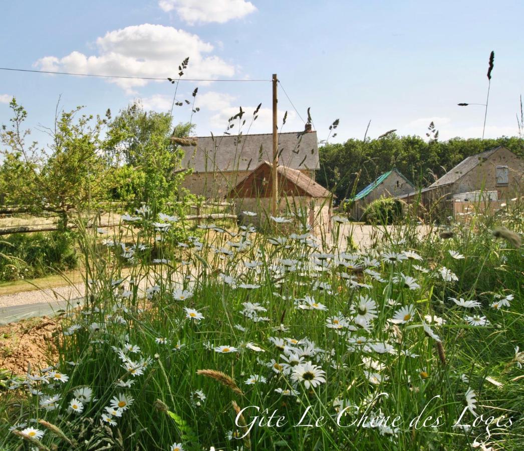 Gite Familial Pour 6 Pers En Campagne Bouere Exterior foto